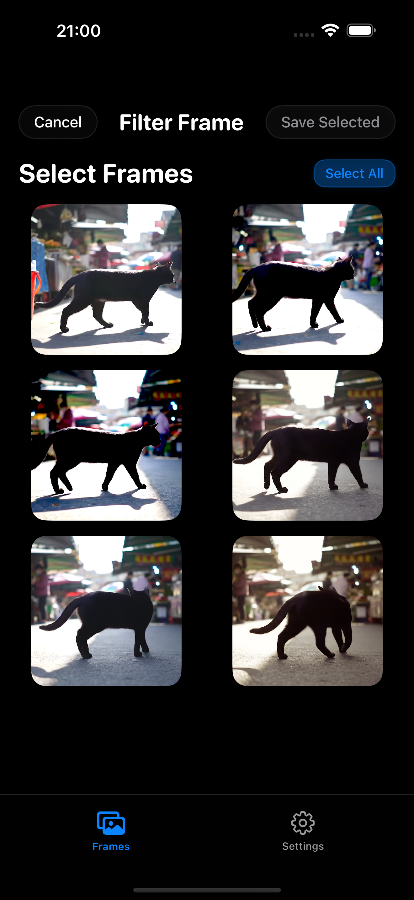 FilterFrame Filters